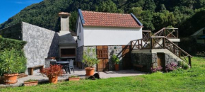 Mountain View Cottage